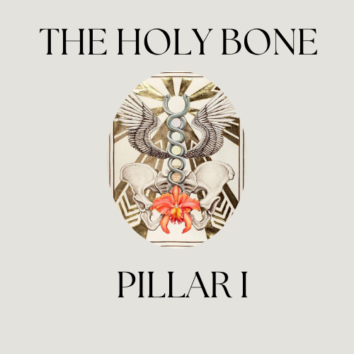 The Holy Bone - The Self-Led Path