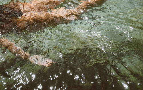 Blossoming Through the Body  - Workshop